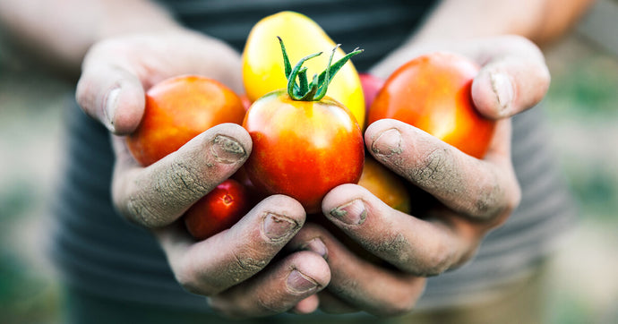 5 Easy Ways To Reduce Your Food Waste